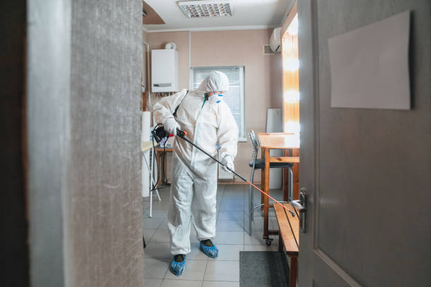 Best Commercial Mold Inspection  in Bloomingdale, NJ