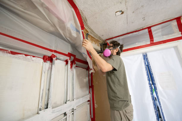 Mold Removal for HVAC Installations in Bloomingdale, NJ