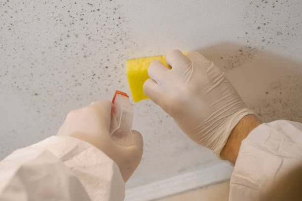 Best Comprehensive Air Testing for Mold Contaminants  in Bloomingdale, NJ