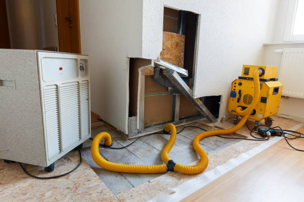 Best Mold Removal for HVAC Installations  in Bloomingdale, NJ